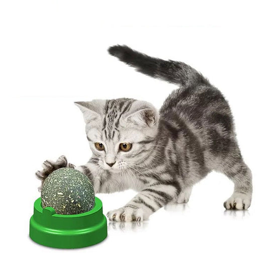 Catnip Toys Balls for Cats Lick 4 Pcs | ZAKAPOP