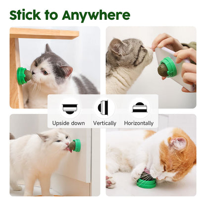 Catnip Toys Balls for Cats Lick 4 Pcs | ZAKAPOP