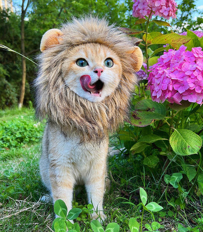 Cute Lion Mane Wig for Cat Costume Pet | ZAKAPOP