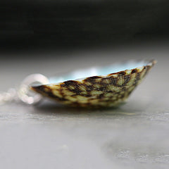 Real Limpet Shell Ocean Necklace | ZAKAPOP