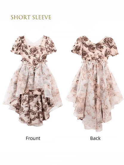 Steampunk Rose French Vintage Tail Dress | ZAKAPOP