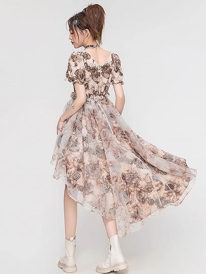 Steampunk Rose French Vintage Tail Dress | ZAKAPOP