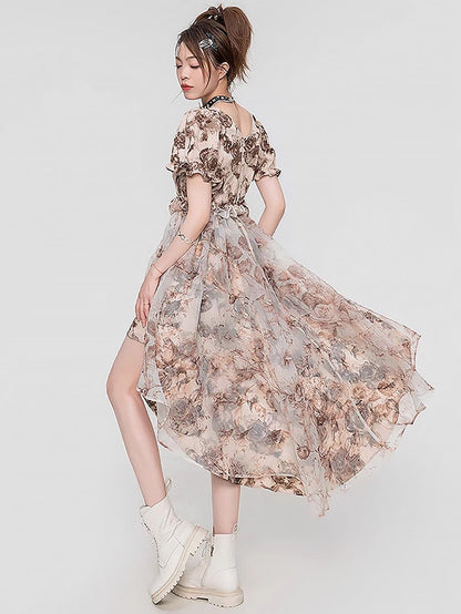 Steampunk Rose French Vintage Tail Dress | ZAKAPOP
