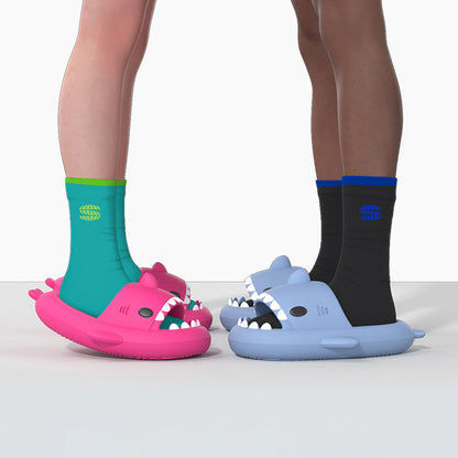 Two-color original Shark Slippers(Adults) | ZAKAPOP
